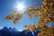 canmore fall