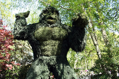 King Kong Topiary